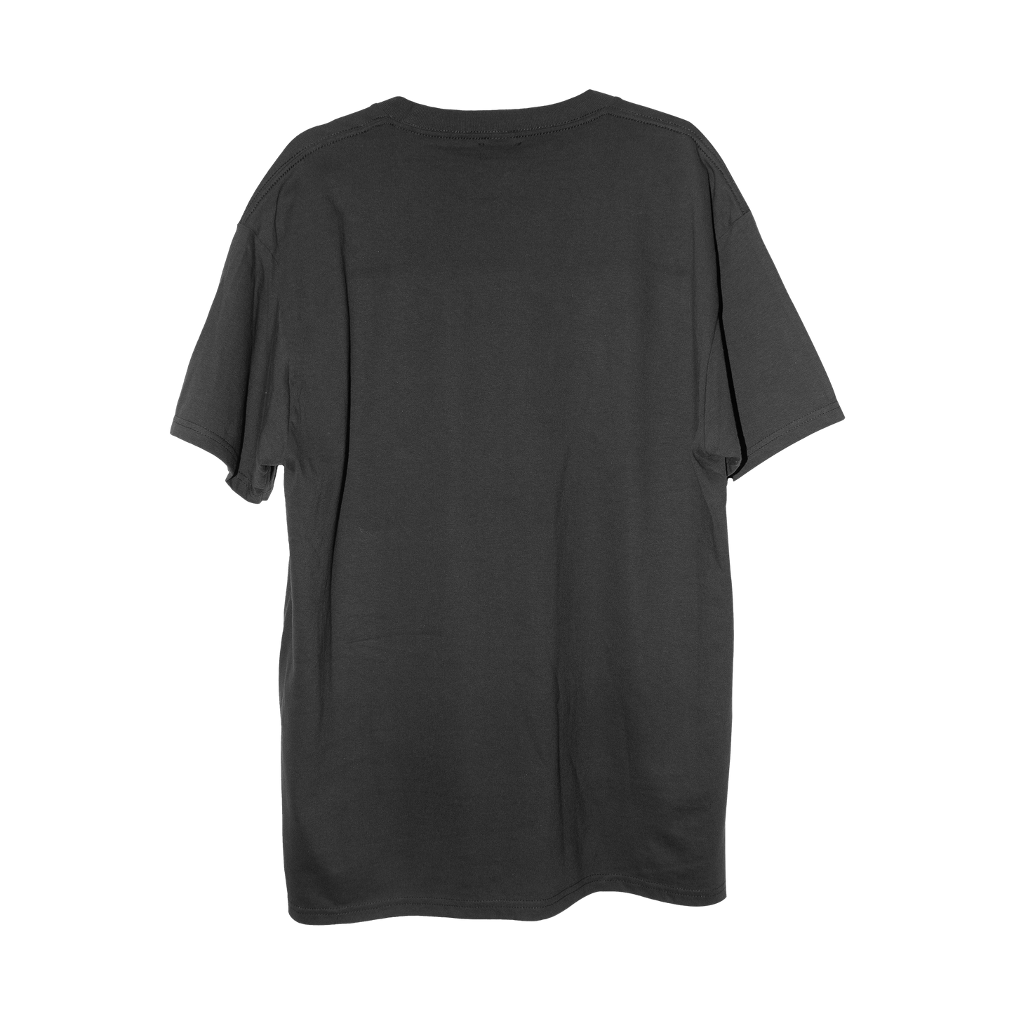 Real Dinosaurs Everywhere Tee