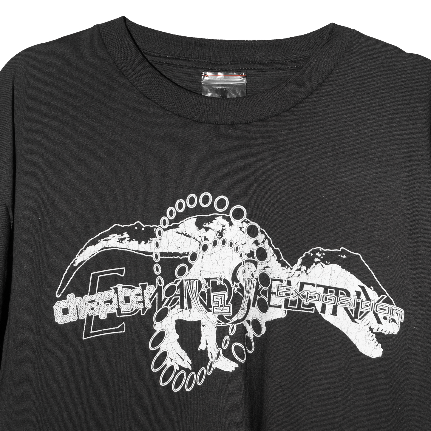 Real Dinosaurs Everywhere Tee
